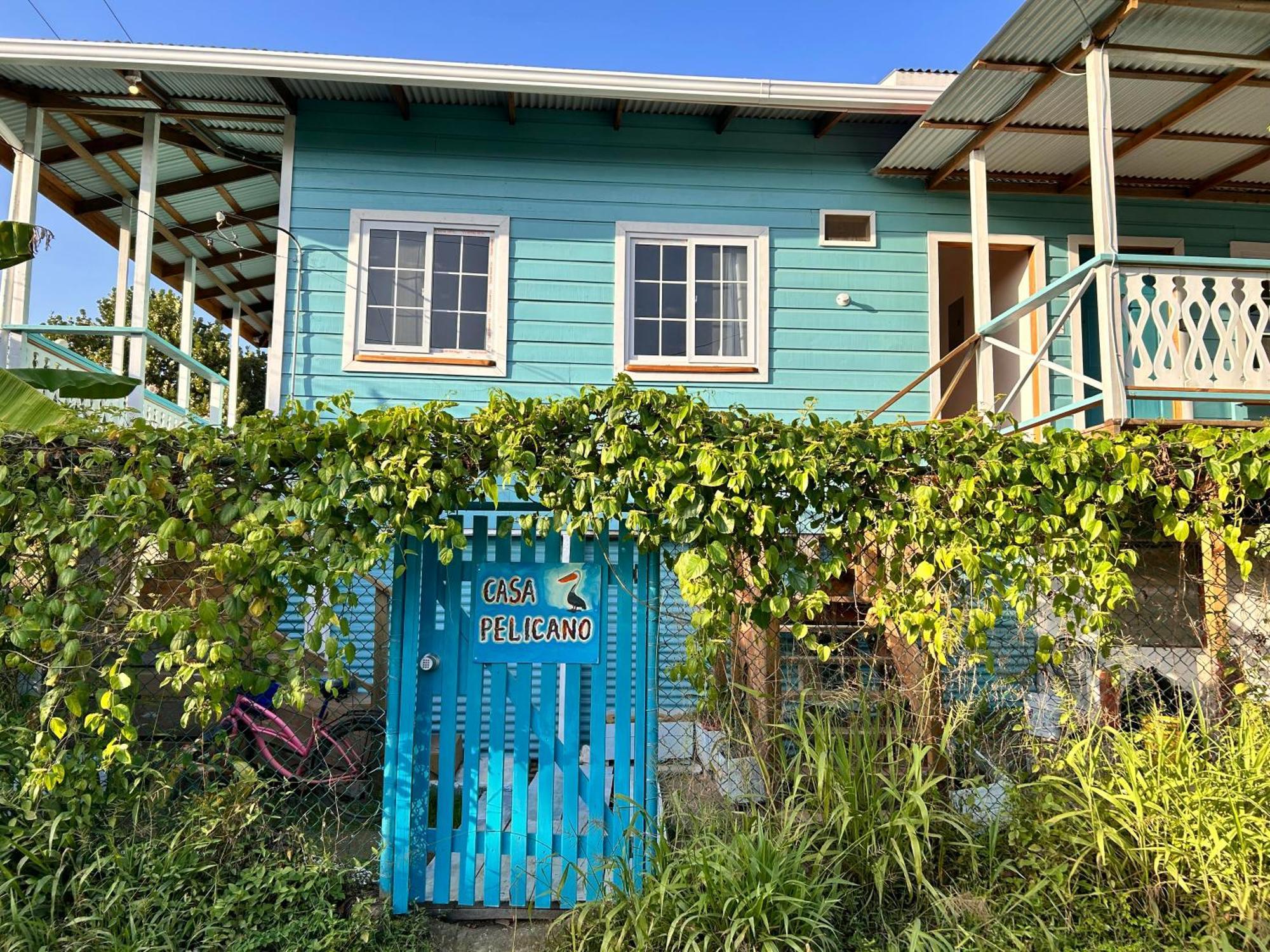 Casa Pelicano Bocas del Toro Eksteriør billede