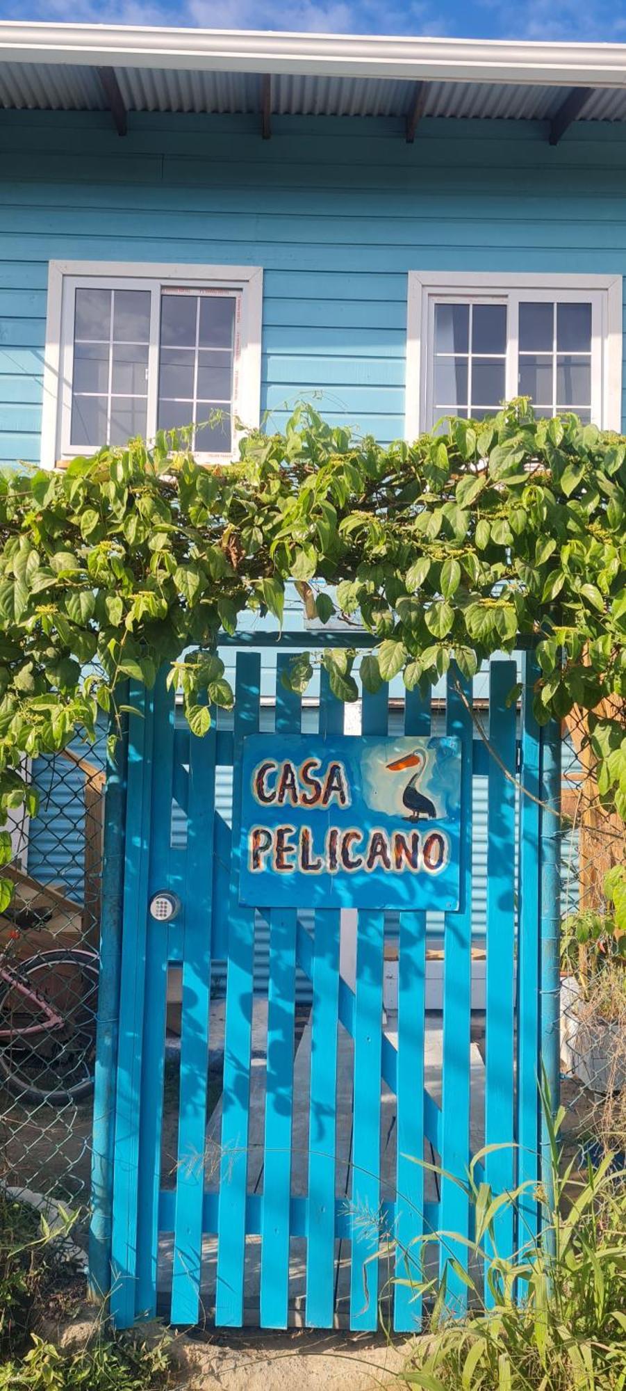 Casa Pelicano Bocas del Toro Eksteriør billede