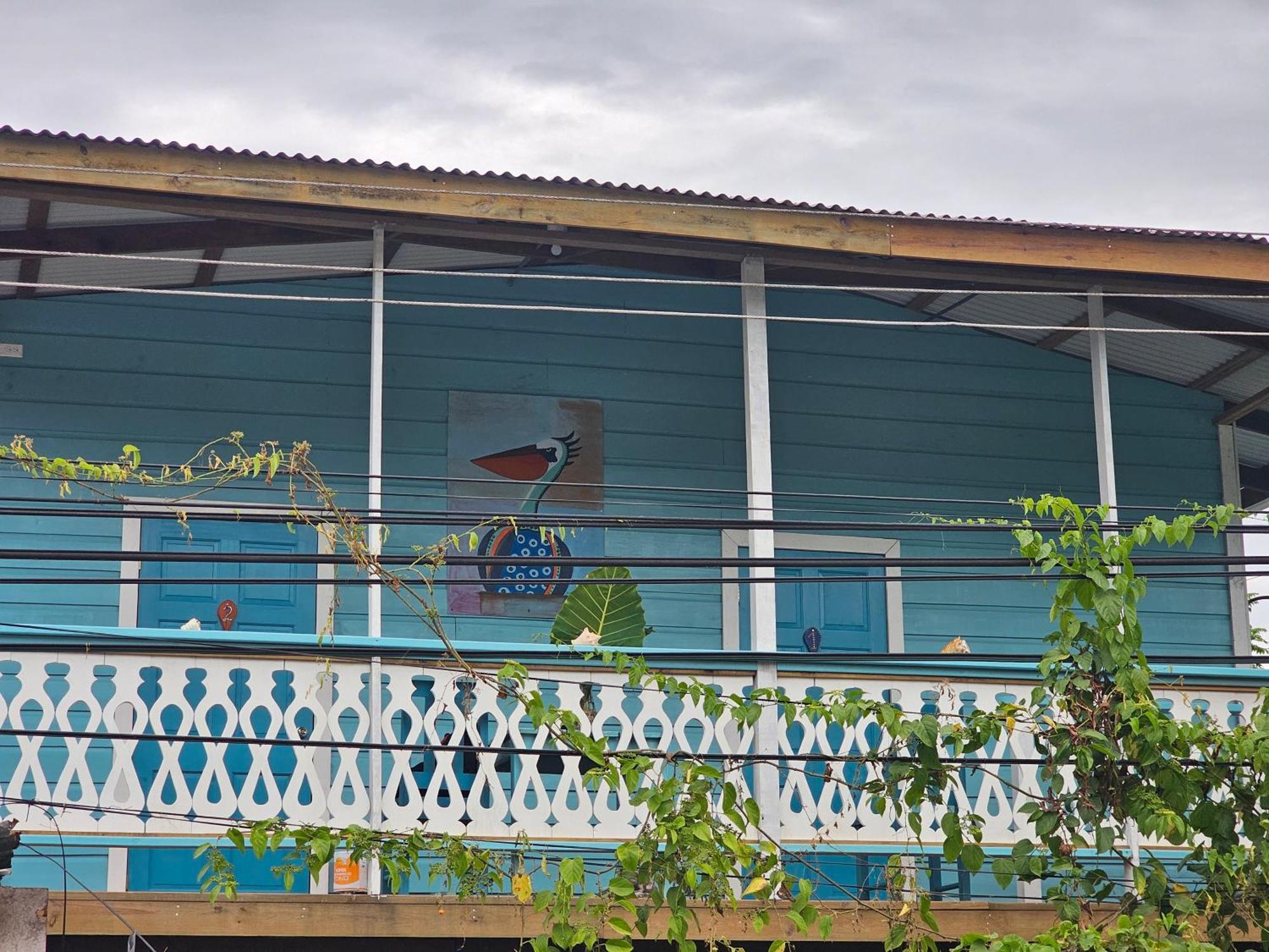 Casa Pelicano Bocas del Toro Eksteriør billede