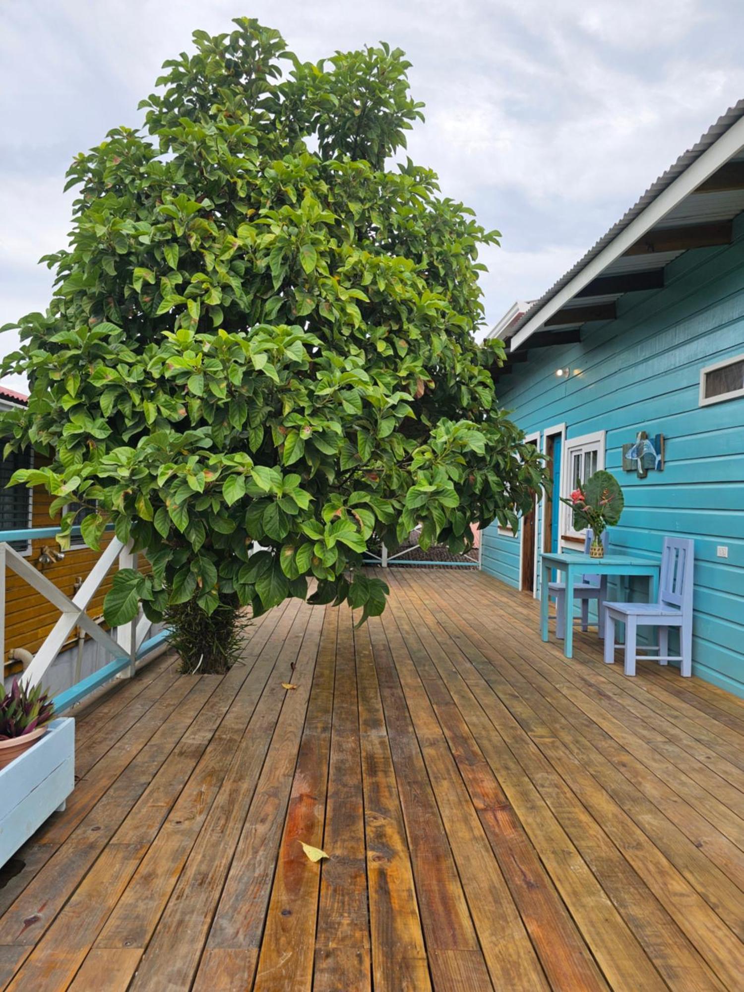 Casa Pelicano Bocas del Toro Eksteriør billede