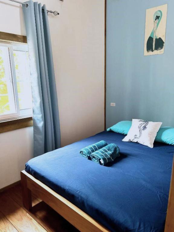 Casa Pelicano Bocas del Toro Eksteriør billede